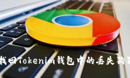 如何找回Tokenim钱包中的丢失狗狗代币