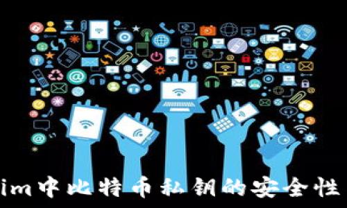   
揭秘Tokenim中比特币私钥的安全性与管理方法