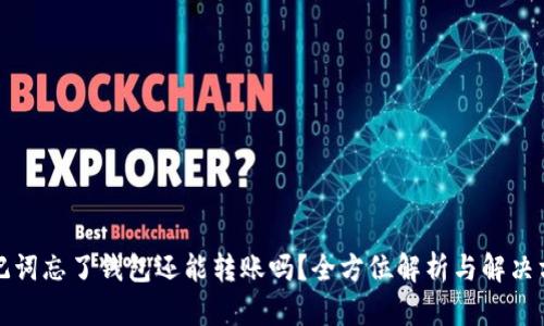 助记词忘了钱包还能转账吗？全方位解析与解决方案