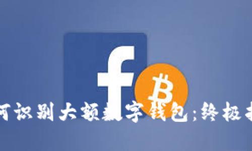 如何识别大额数字钱包:终极指南