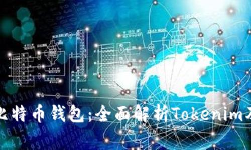 最常用的比特币钱包：全面解析Tokenim及其优缺点