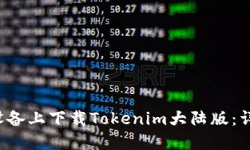  如何在苹果设备上下载Tokenim大陆版：详细步骤与指南