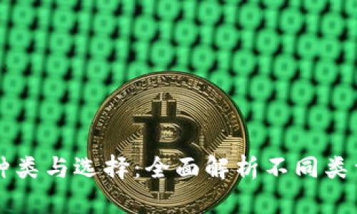 区块链钱包的种类与选择：全面解析不同类型的区块链钱包
