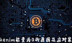 Tokenim能量为0的原因及应对
