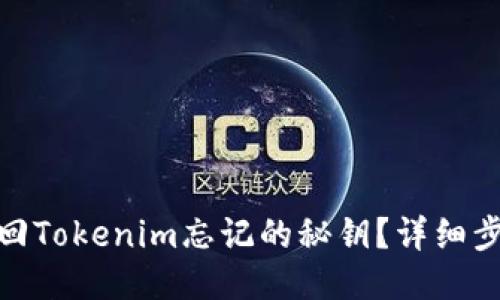  (如何找回Tokenim忘记的秘钥？详细步骤与技巧