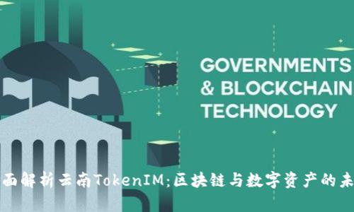 全面解析云南TokenIM:区块链与数字资产的未来