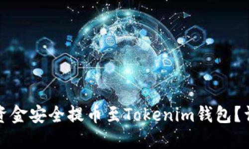 如何将资金安全提币至Tokenim钱包?详细指南