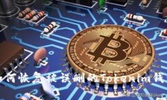 如何恢复被误删的Tokenim钱