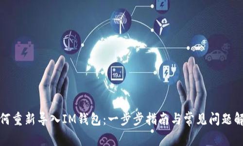 如何重新导入IM钱包:一步步指南与常见问题解答