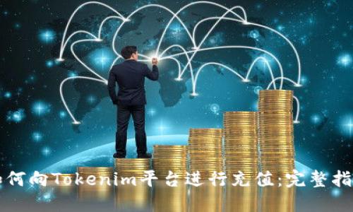 如何向Tokenim平台进行充值:完整指南
