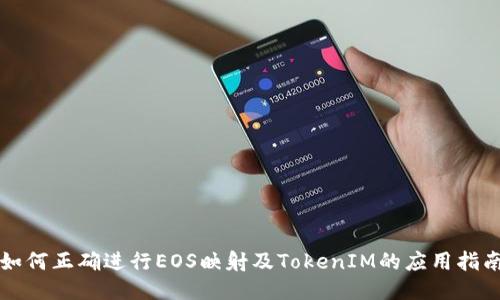 如何正确进行EOS映射及TokenIM的应用指南