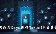 :如何利用Doge进行TokenIM交