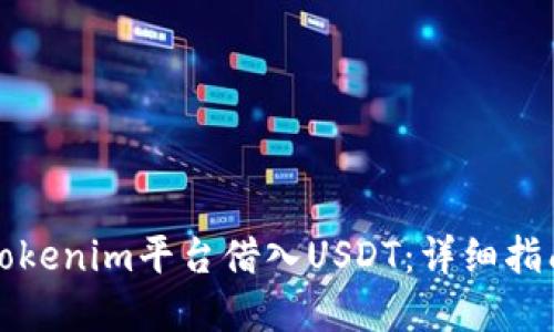 如何在Tokenim平台借入USDT:详细指南与技巧