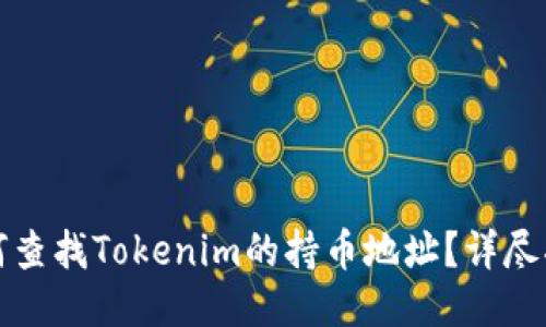 如何查找Tokenim的持币地址?详尽指南