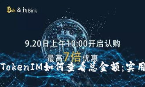 理解TokenIM如何查看总金额:实用指南