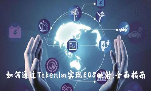 如何通过Tokenim实现EOS映射：全面指南