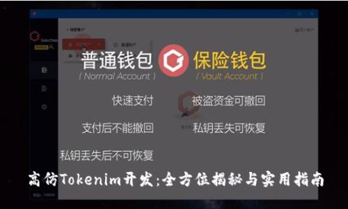 高仿Tokenim开发：全方位揭秘与实用指南