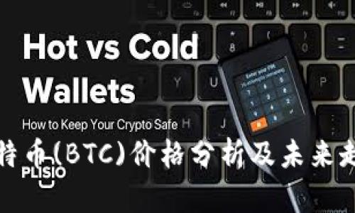 今日比特币(BTC)价格分析及未来走势预测