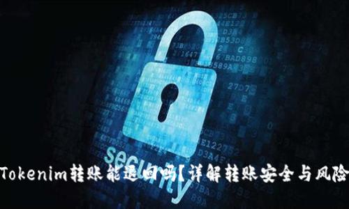 Tokenim转账能退回吗？详解转账安全与风险