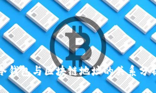 冷钱包与区块链地址的关系分析