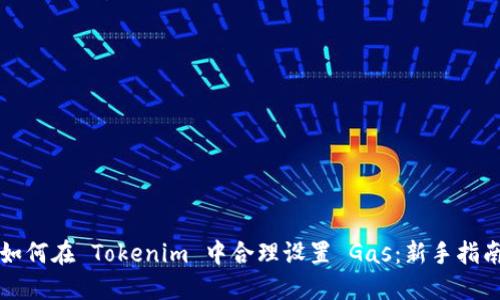 如何在 Tokenim 中合理设置 Gas：新手指南
