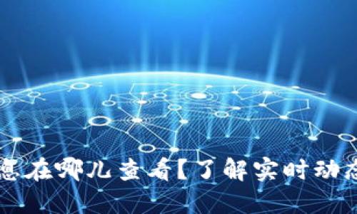 币圈最新消息在哪儿查看?了解实时动态的最佳途径
