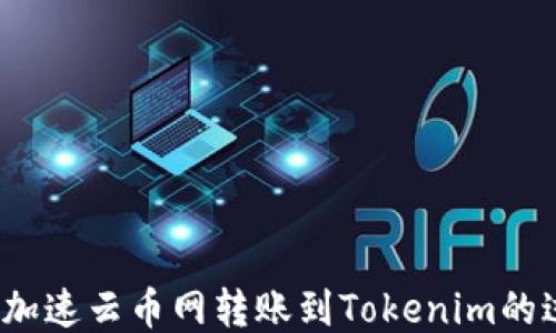
如何加速云币网转账到Tokenim的过程？