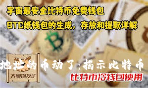中本聪钱包地址的币动了：揭示比特币背后的秘密!