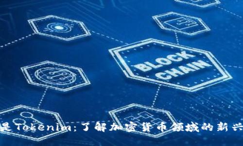 什么是Tokenim：了解加密货币领域的新兴概念
