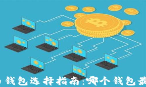 数字货币钱包选择指南:哪个钱包最适合你?