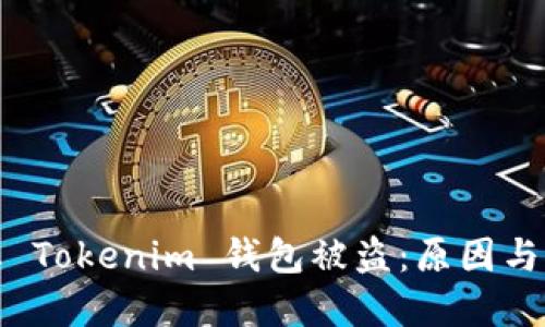 如何防止 Tokenim 钱包被盗：原因与解决方案