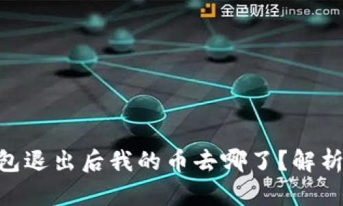 Tokenim钱包退出后我的币去哪了？解析及解决方案