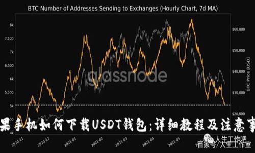 苹果手机如何下载USDT钱包：详细教程及注意事项