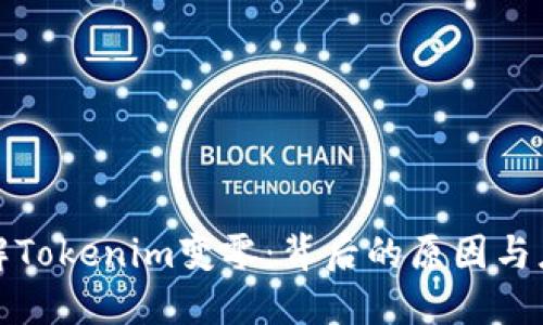 如何理解Tokenim变零：背后的原因与应对策略