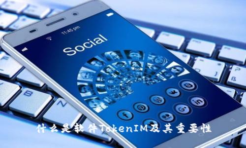 什么是软件TokenIM及其重要性