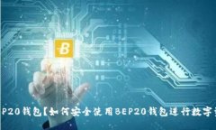 什么是BEP20钱包？如何安全