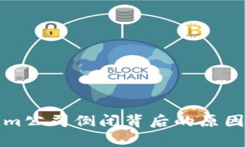 Tokenim公司倒闭背后的原因与启示