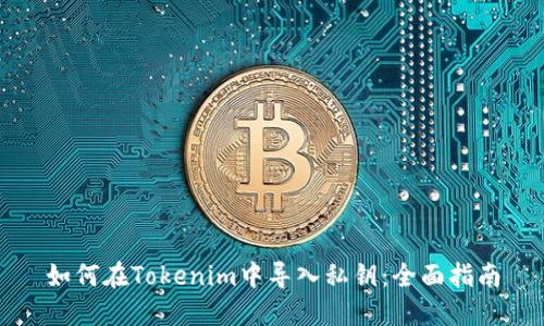 如何在Tokenim中导入私钥:全面指南