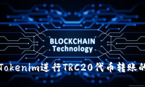 如何使用Tokenim进行TRC20代币转账的详细指南