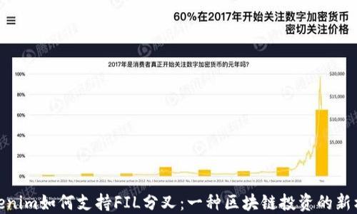Tokenim如何支持FIL分叉:一种区块链投资的新机遇