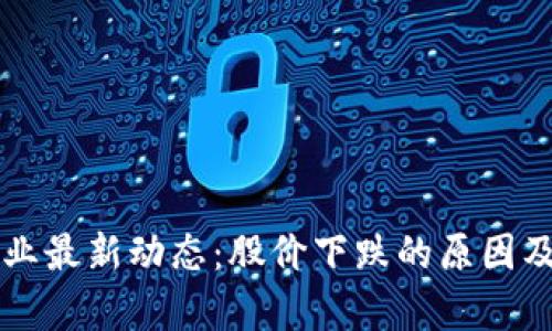 区块链钱包行业最新动态：股价下跌的原因及未来走势分析