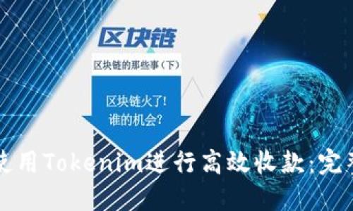 如何使用Tokenim进行高效收款：完整指南