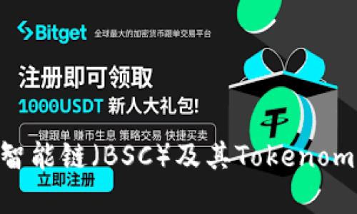 什么是币安智能链（BSC）及其Tokenomics详细解析