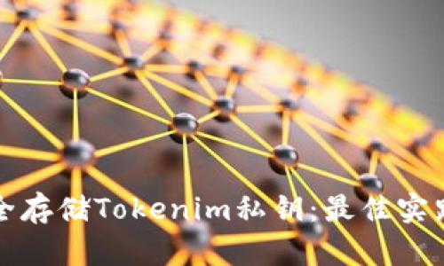 如何安全存储Tokenim私钥:最佳实践和技巧