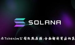 揭示Tokenim公司致死原因：