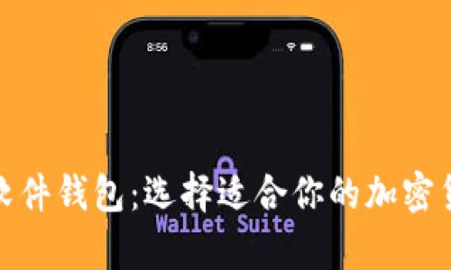 硬件钱包与软件钱包：选择适合你的加密货币存储方案