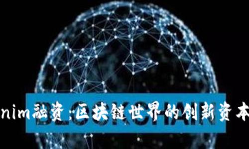 Tokenim融资:区块链世界的创新资本筹集