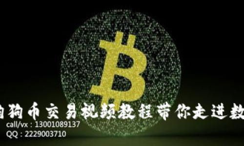 轻松学会！狗狗币交易视频教程带你走进数字货币世界