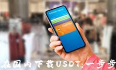 如何在国内下载USDT：一步