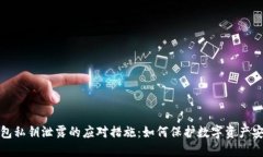 钱包私钥泄露的应对措施